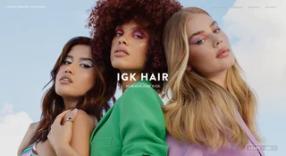 Luxury Brand Partners homepage — a full-bleed IGK Hair brand slide reading 'No boring hair. Ever.' behind the site navigation